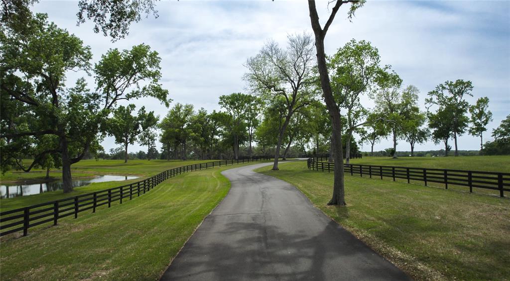 13381 W HWY 40 (LOT 1) OCALA, FL - Image 3 13381 W HWY 40 (LOT 1) OCALA, FL - Image 3