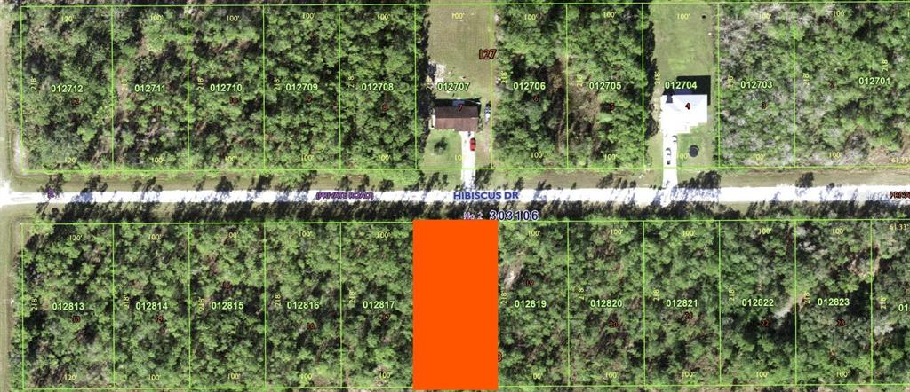 713 HIBISCUS DRIVE INDIAN LAKE ESTATES, FL - Image 3