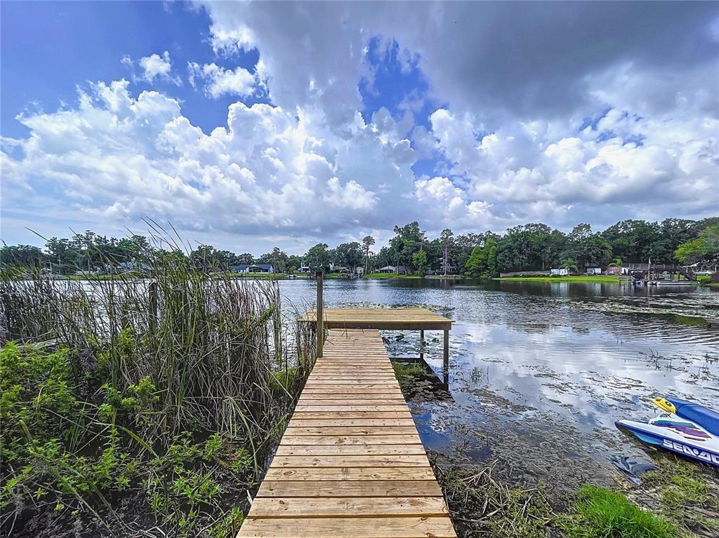 5720 HALF MOON LAKE ROAD TAMPA, FL - Image 5 5720 HALF MOON LAKE ROAD TAMPA, FL - Image 5