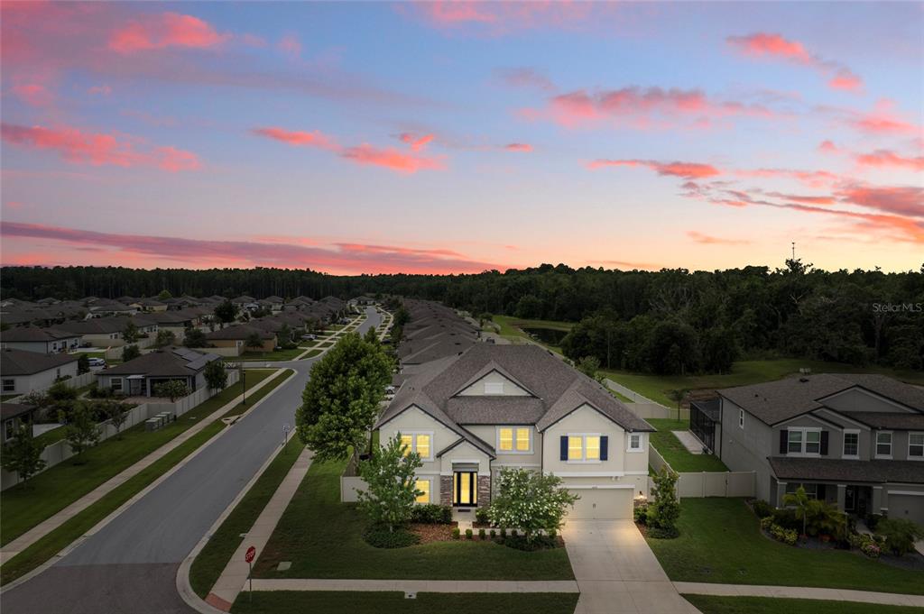 18696 MALINCHE LOOP SPRING HILL, FL - Image 3