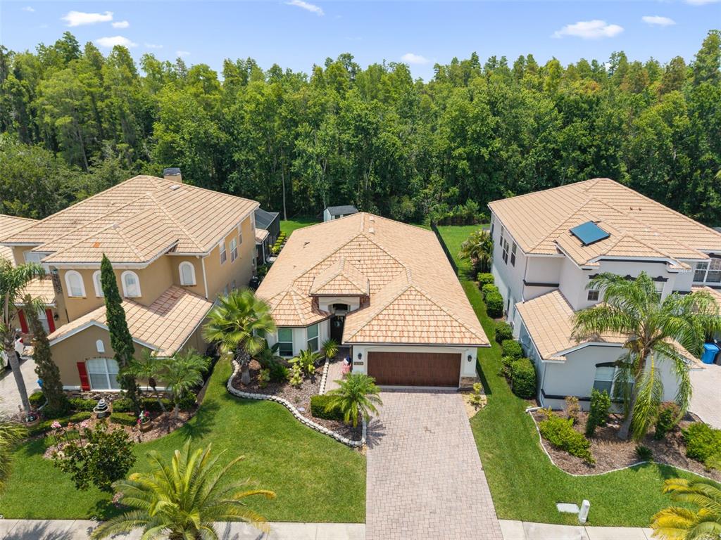 10880 CORY LAKE DRIVE TAMPA, FL - Image 5